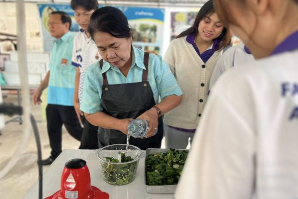 482318865_1177769054354875_8142432626826701008_n