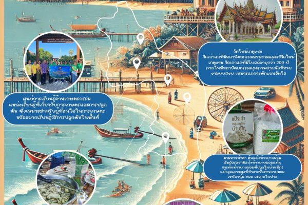 ภาพที่ 4